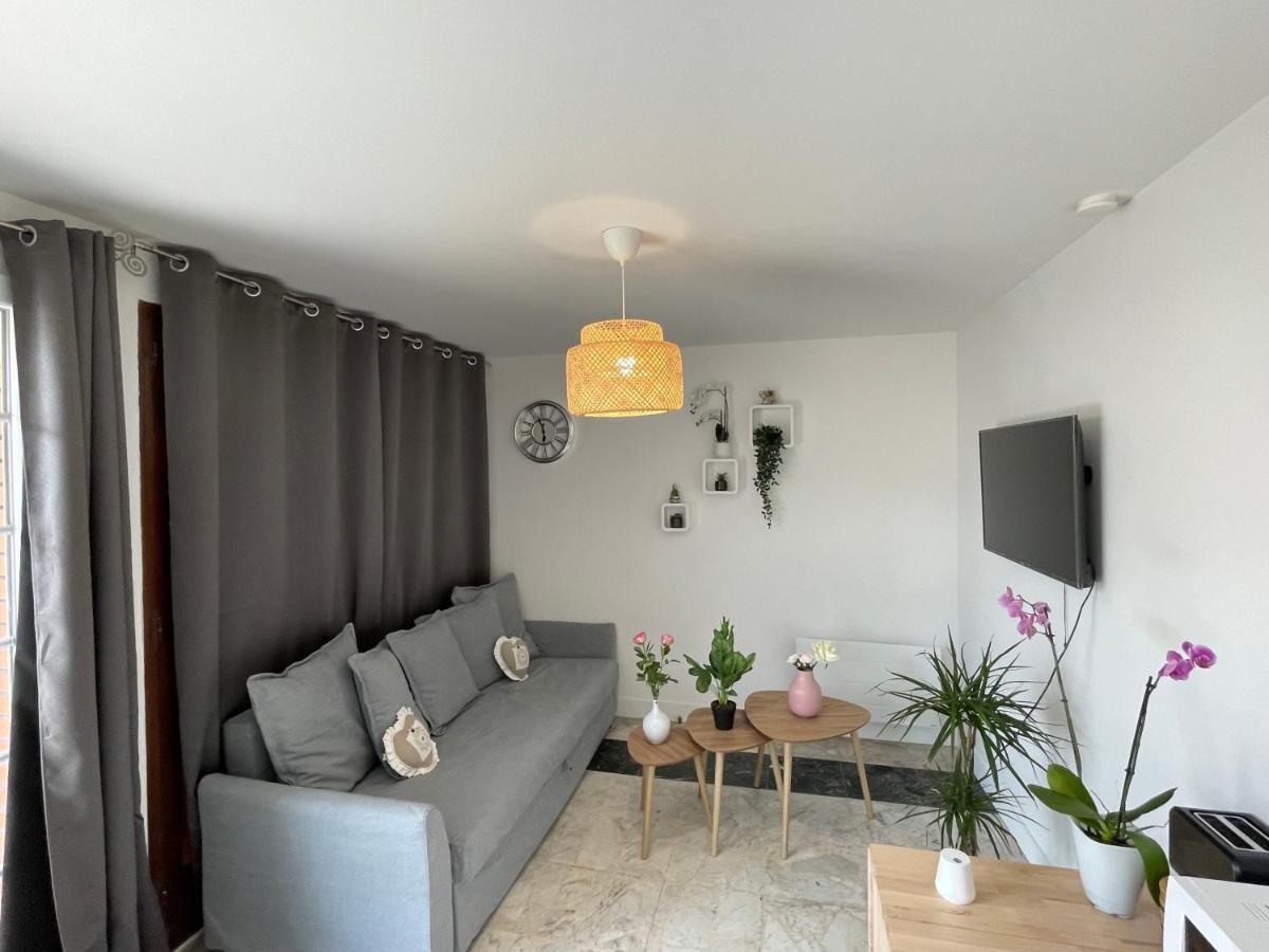 Joli T2, Terrasse Et Jardin, Ideal Pour Familles, A 15 Min De L'Aeroport Roissy Cdg Tremblay-en-France Экстерьер фото